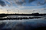 08-11-2023 Breda- De vele regen van afgelopen dagen heeft de lager gelogen velden in het buitengebied blank gezet. - Fotokrant